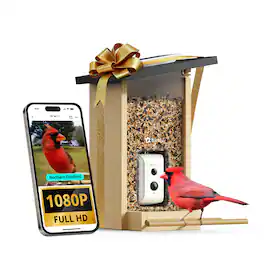 BIRDFY - Smart Bird Feeder with Camera, Bird Watching Camera with Solar Panel, AI Identify 6000+ Species - Ebony