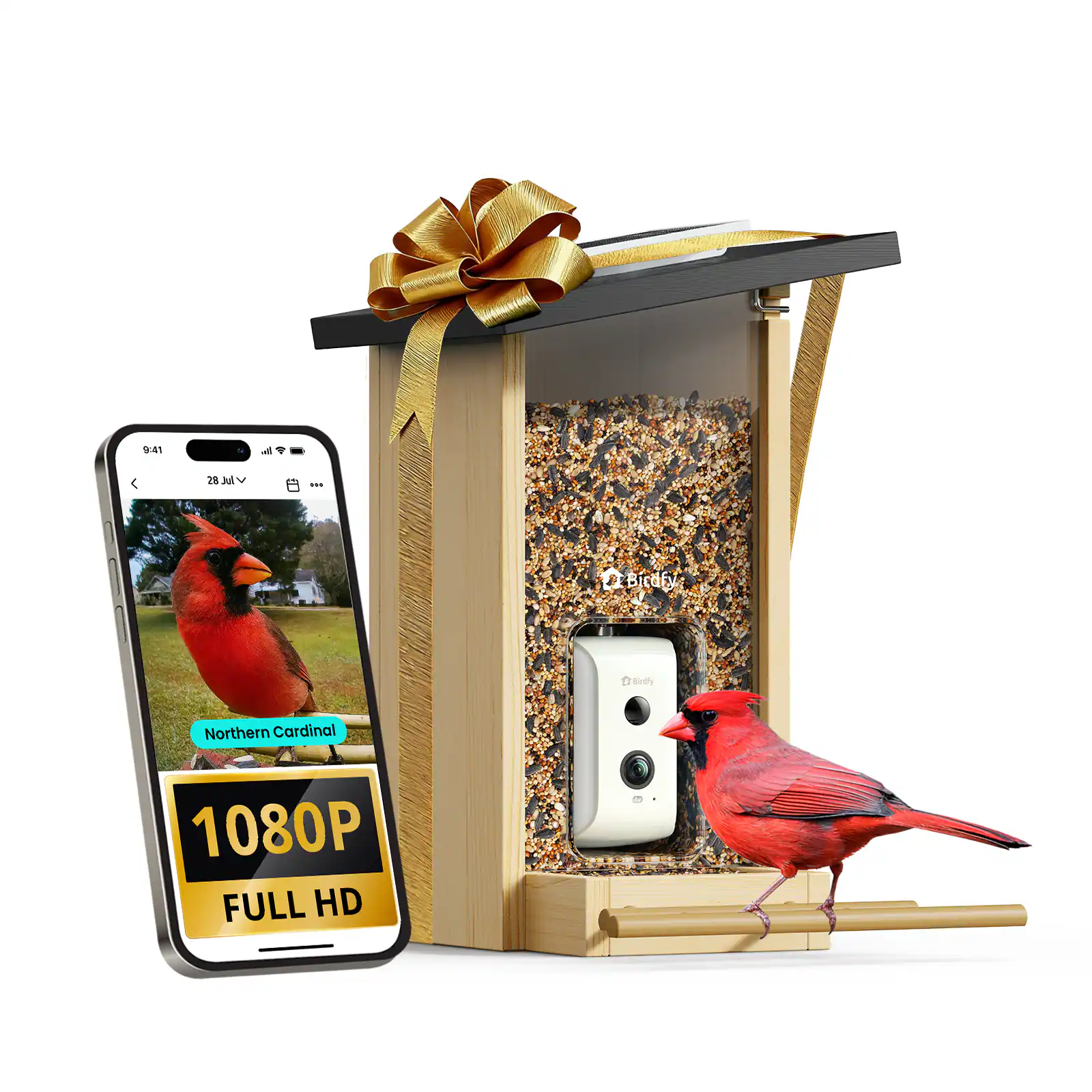 BIRDFY - Smart Bird Feeder with Camera, Bird Watching Camera with Solar Panel, AI Identify 6000+ Species - Ebony