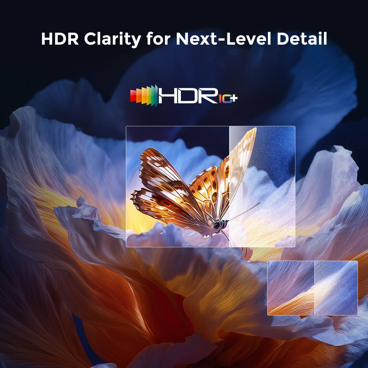 HDR Clarity for Next-Level Detail  
HDR IC+