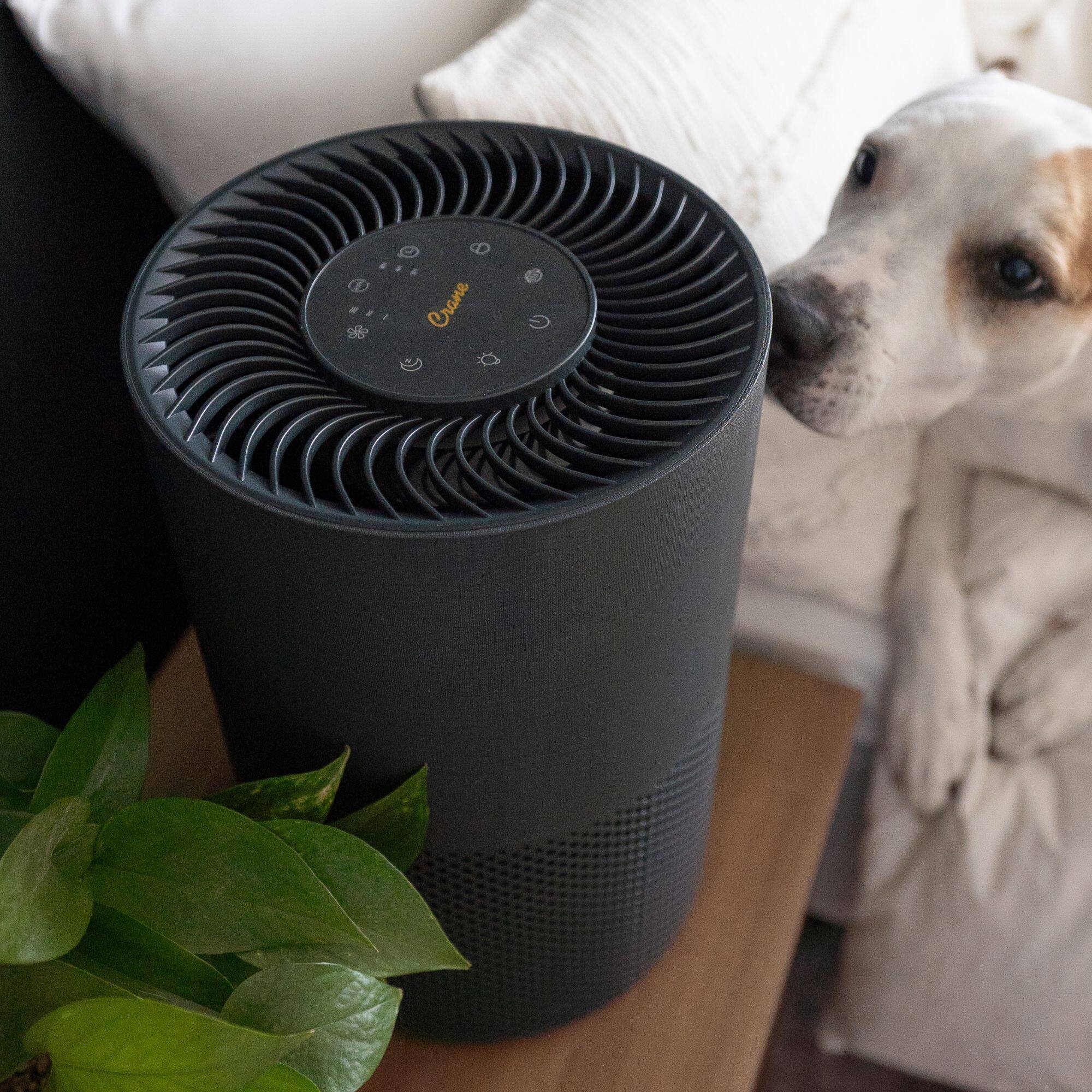 Alt View 4. CRANE - True-HEPA Tower Air Purifier with Air Quality Indicator and Child Lock, Up To 500 Sq Ft - Black.