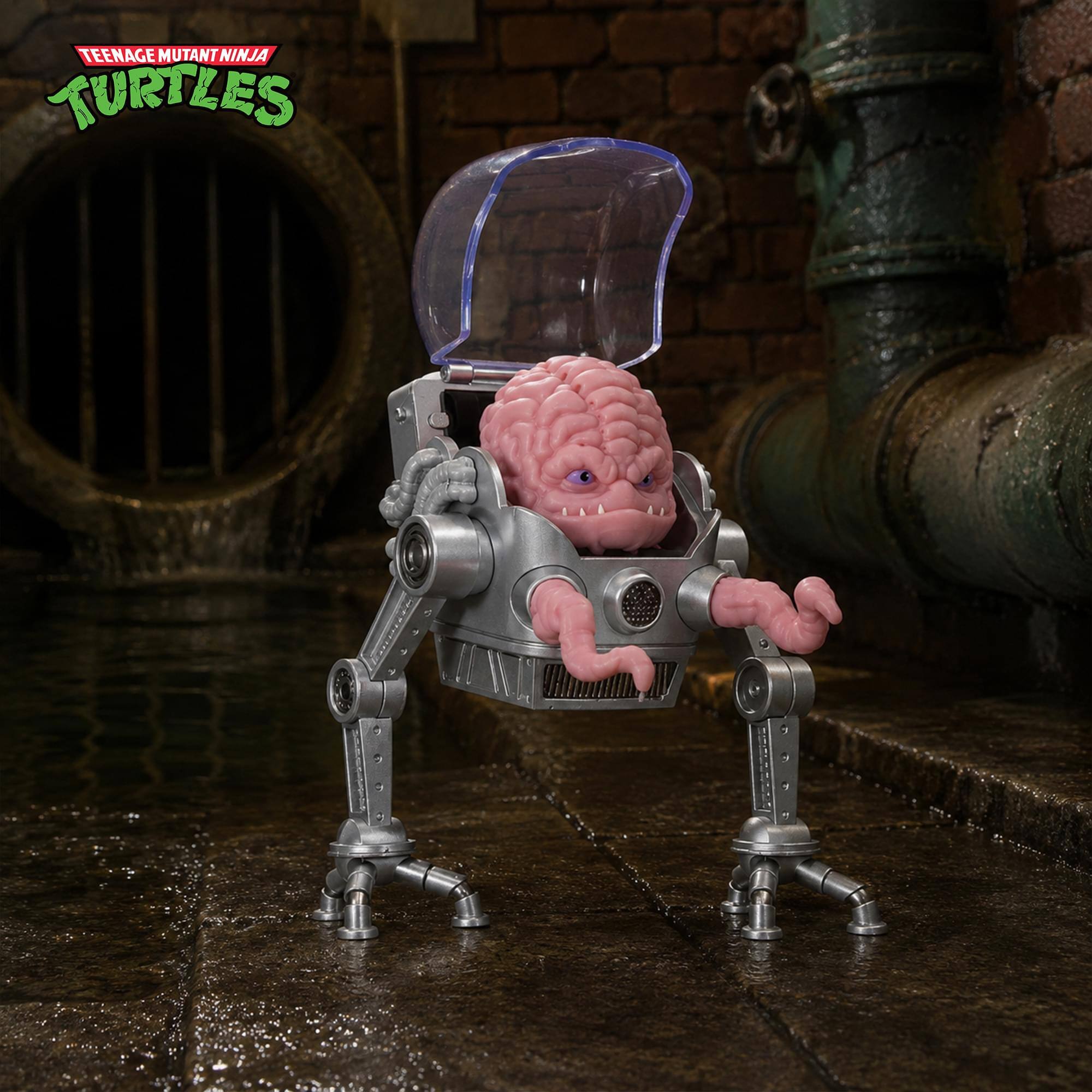 TEENAGE MUTANT NINJA TURTLES