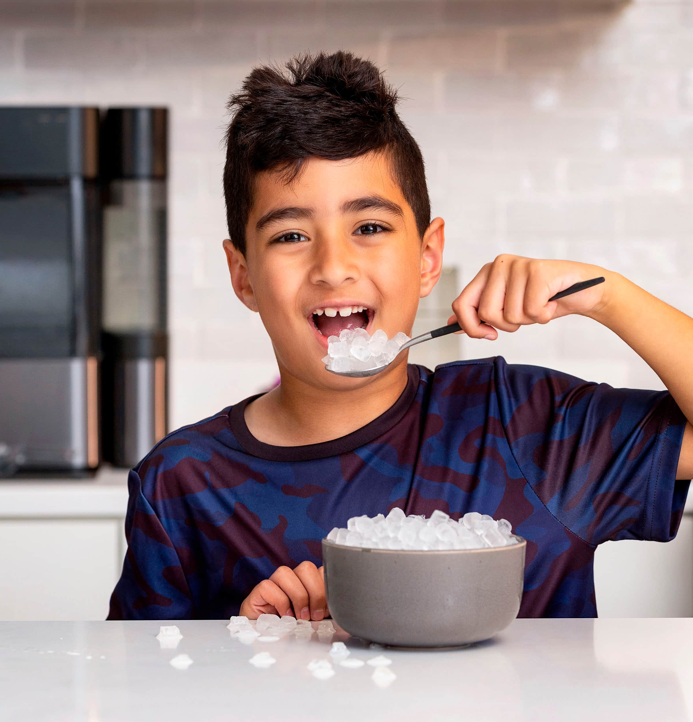 Alt View 28. GE Profile - Opal 2.0 Ultra Nugget Ice Maker with Scale Inhibiting Filter - Stainless Steel.