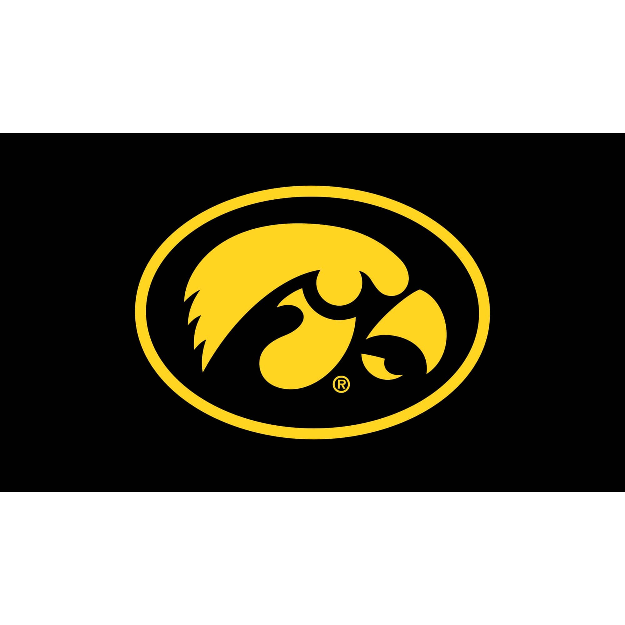 Evergreen Enterprises - Iowa Hawkeyes 28" x 16" Turf Mat - Multicolor