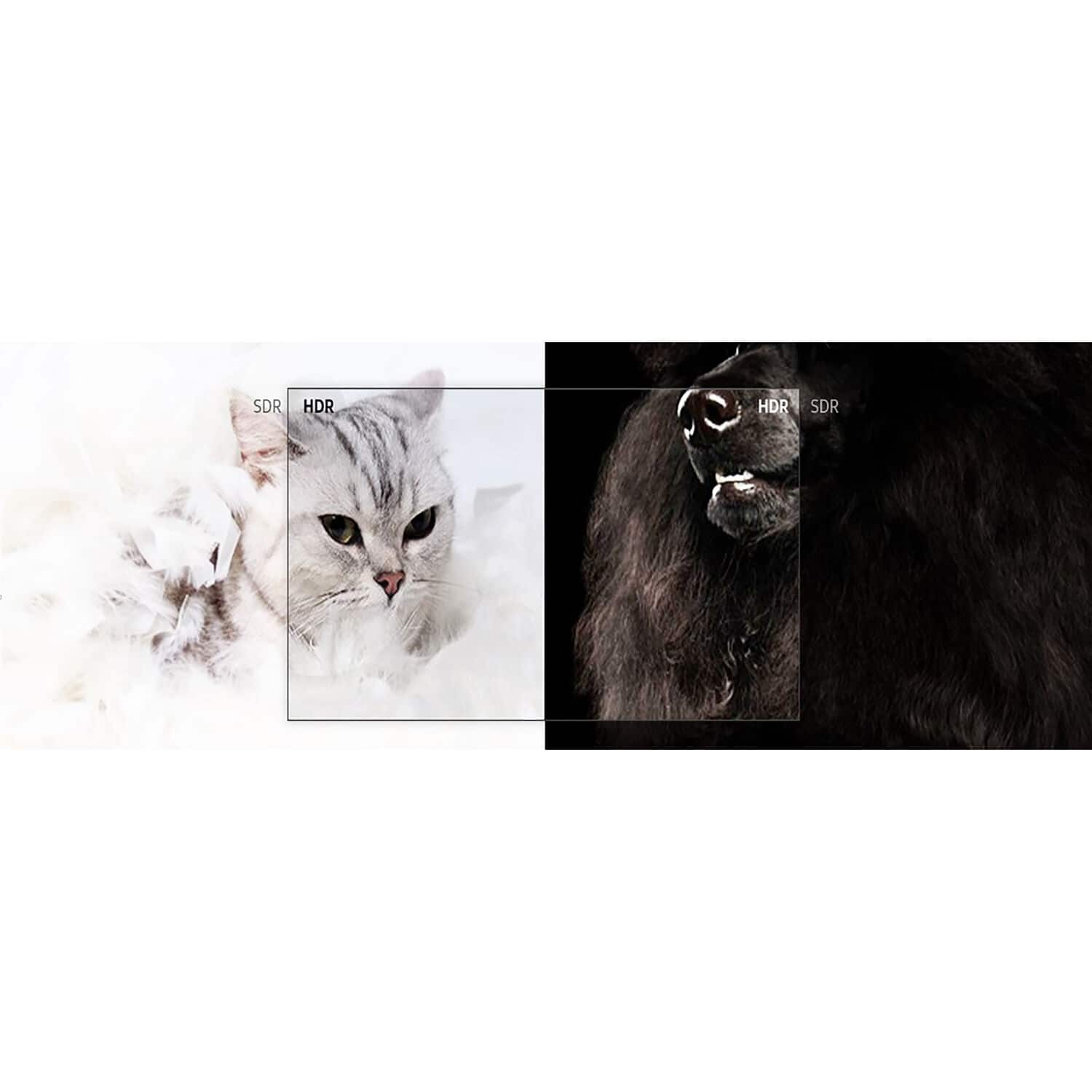 Alt View 3. Samsung - 50" CLASS BE50T-H LED 4K Commercial Grade TV - Black.