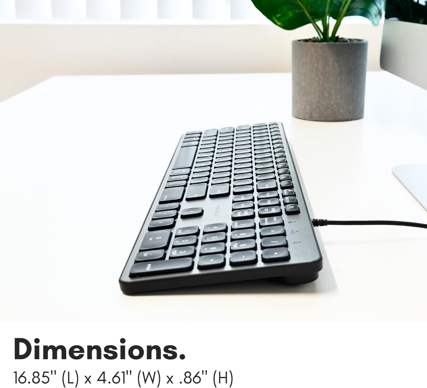 i M - X E . a a - S g i . M B B E E E - Dimensions. 16.85" (L) X 4.61" (W) X .86" (H)