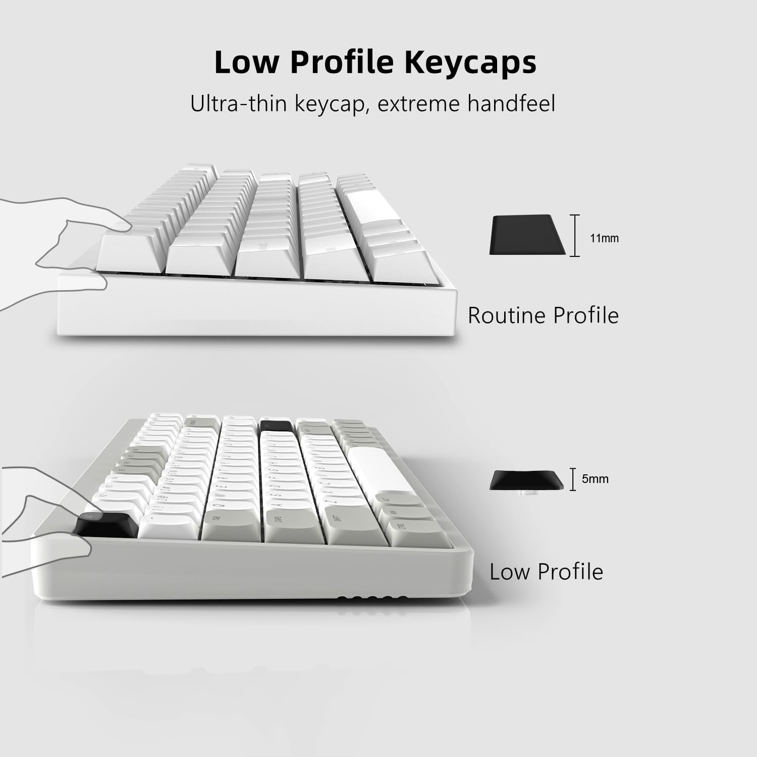 Low Profile Keycaps  
Ultra-thin keycap, extreme handfeel  

Routine Profile  
11mm  

Low Profile  
5mm