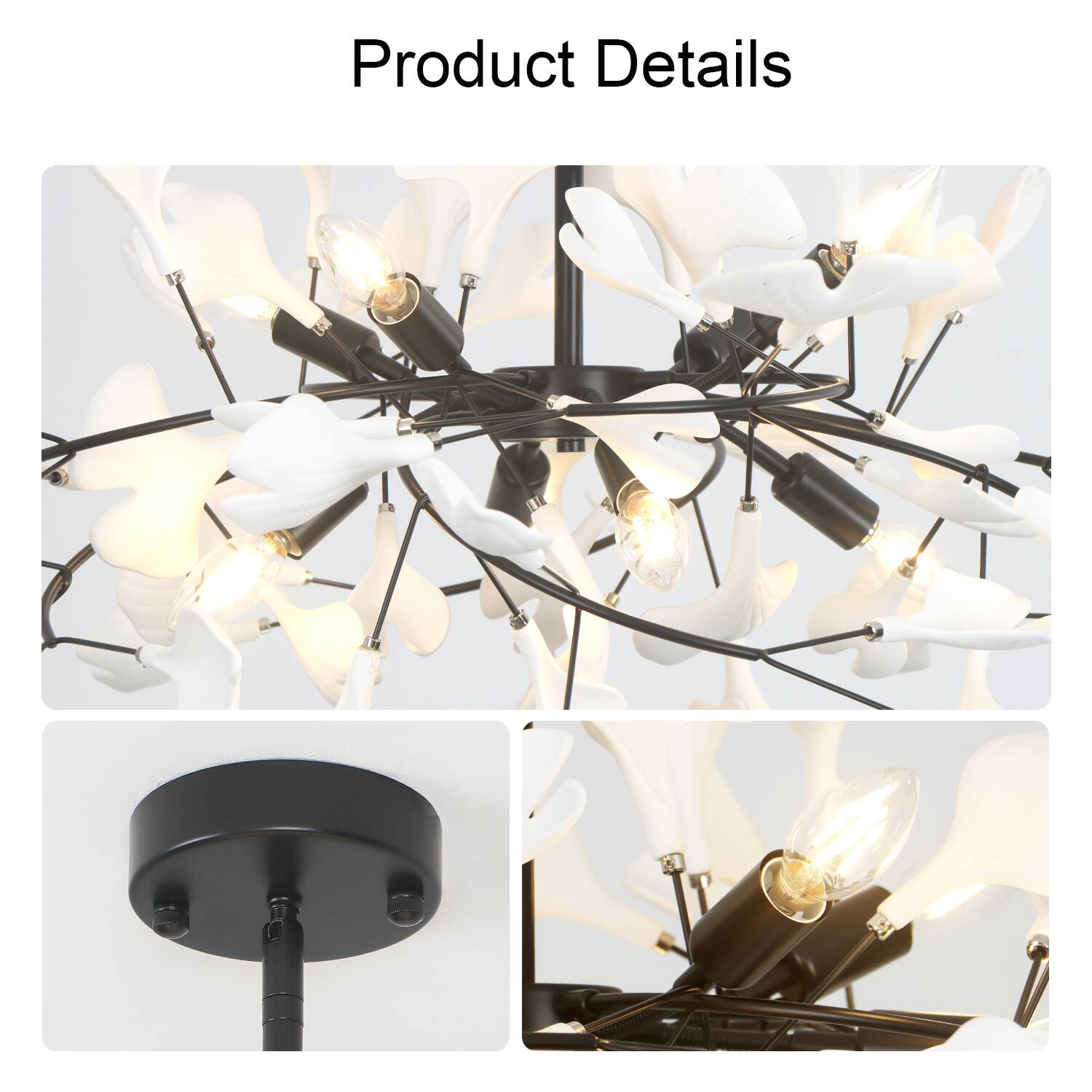 Product Details