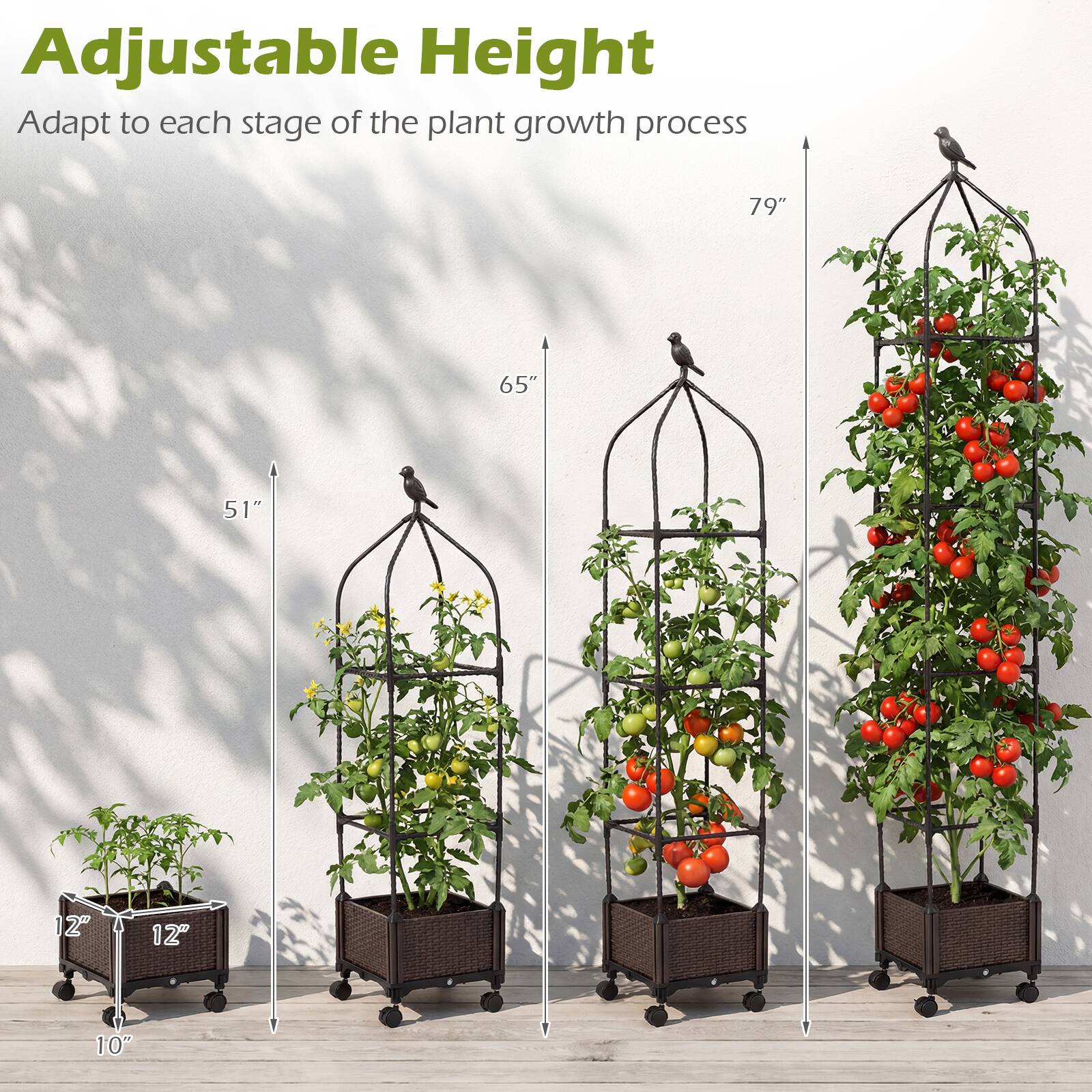 Adjustable Height  
Adapt to each stage of the plant growth process  

79"  
65"  
51"  
12"  
12"  
10"