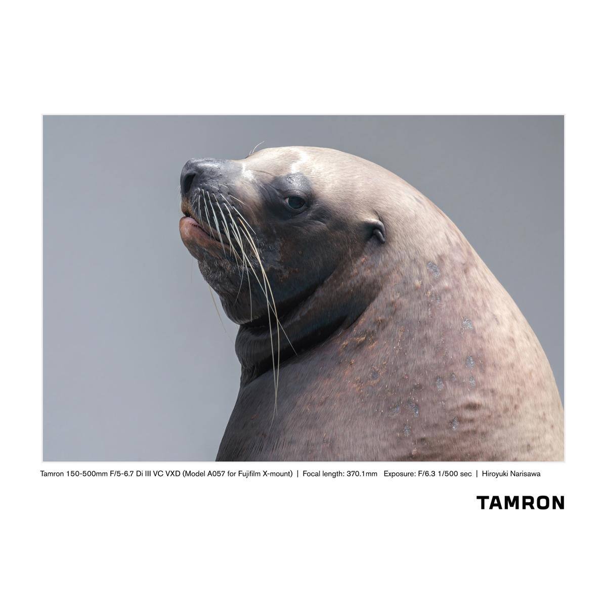 Tamron 150-500mm F/5-6.7 Di III VC VXD (Model A057 for Fujifilm X-mount)  
Focal length: 370.1mm  
Exposure: F/6.3 1/500 sec  
Hiroyuki Narisawa  
TAMRON