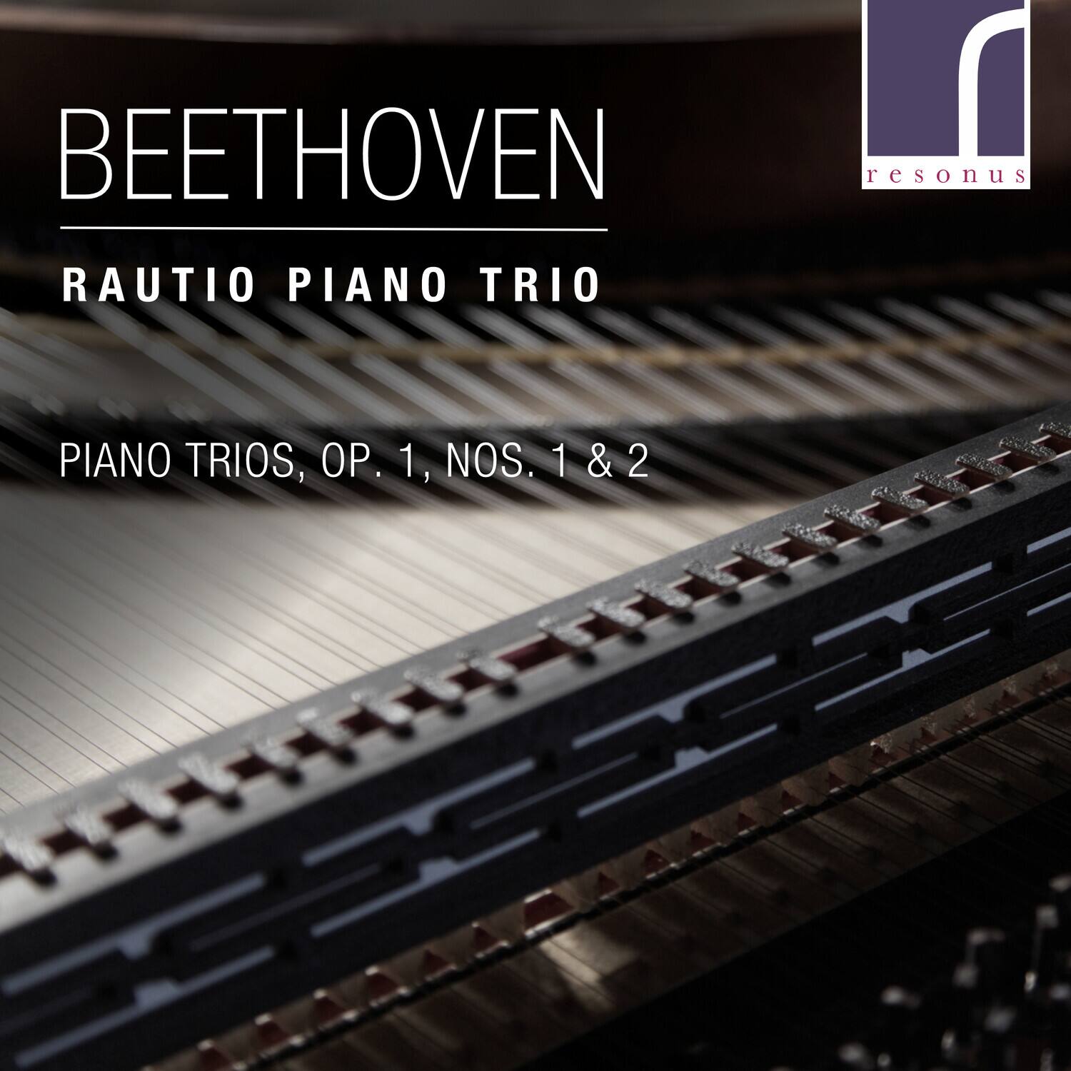 Rautio Piano Trio - Piano Trios 1 1 & 2   - COMPACT DISCS [CD]