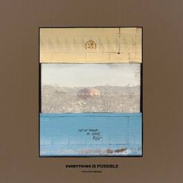 Peace Flag Ensemble - Everything Is Possible - VINYL LP