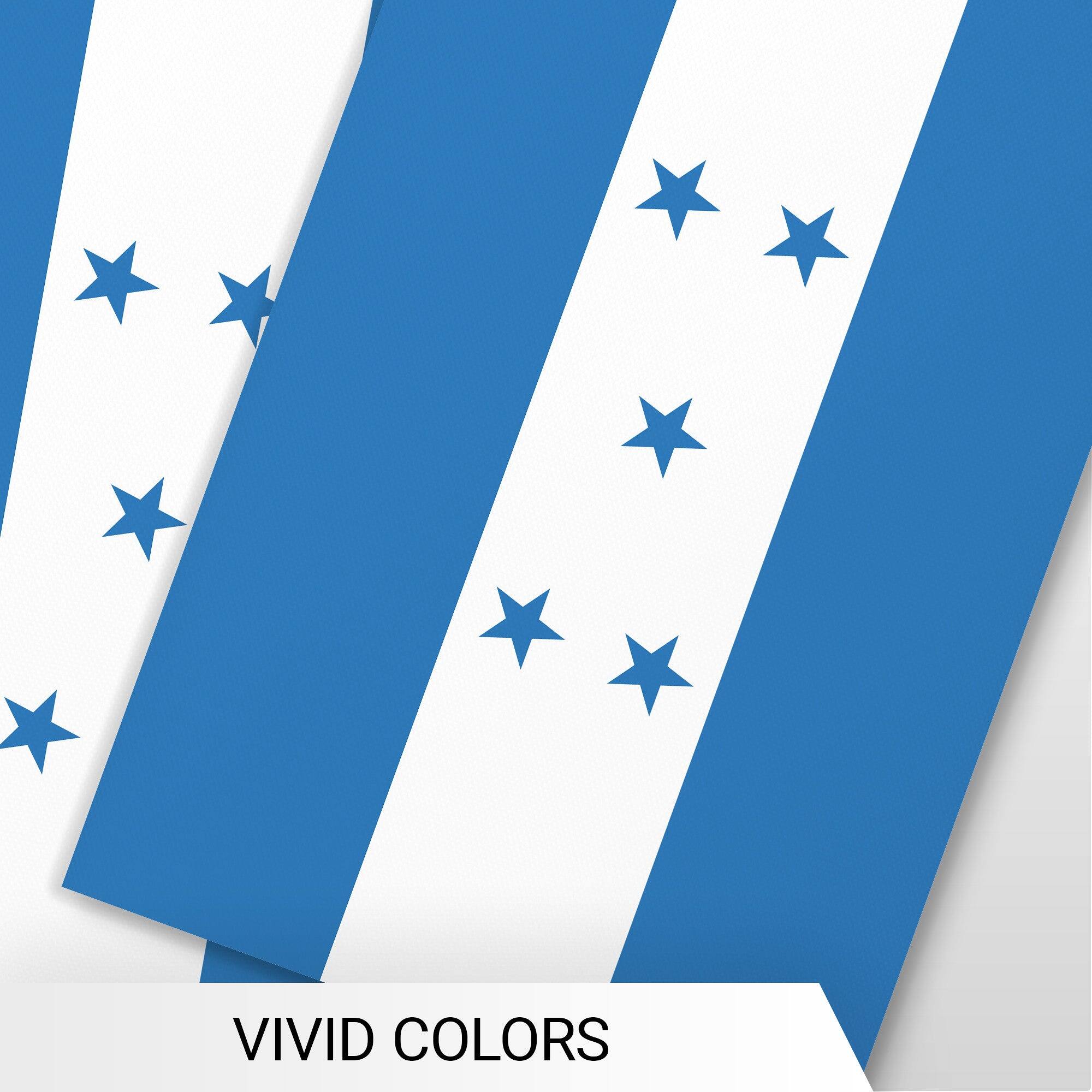 VIVID COLORS
