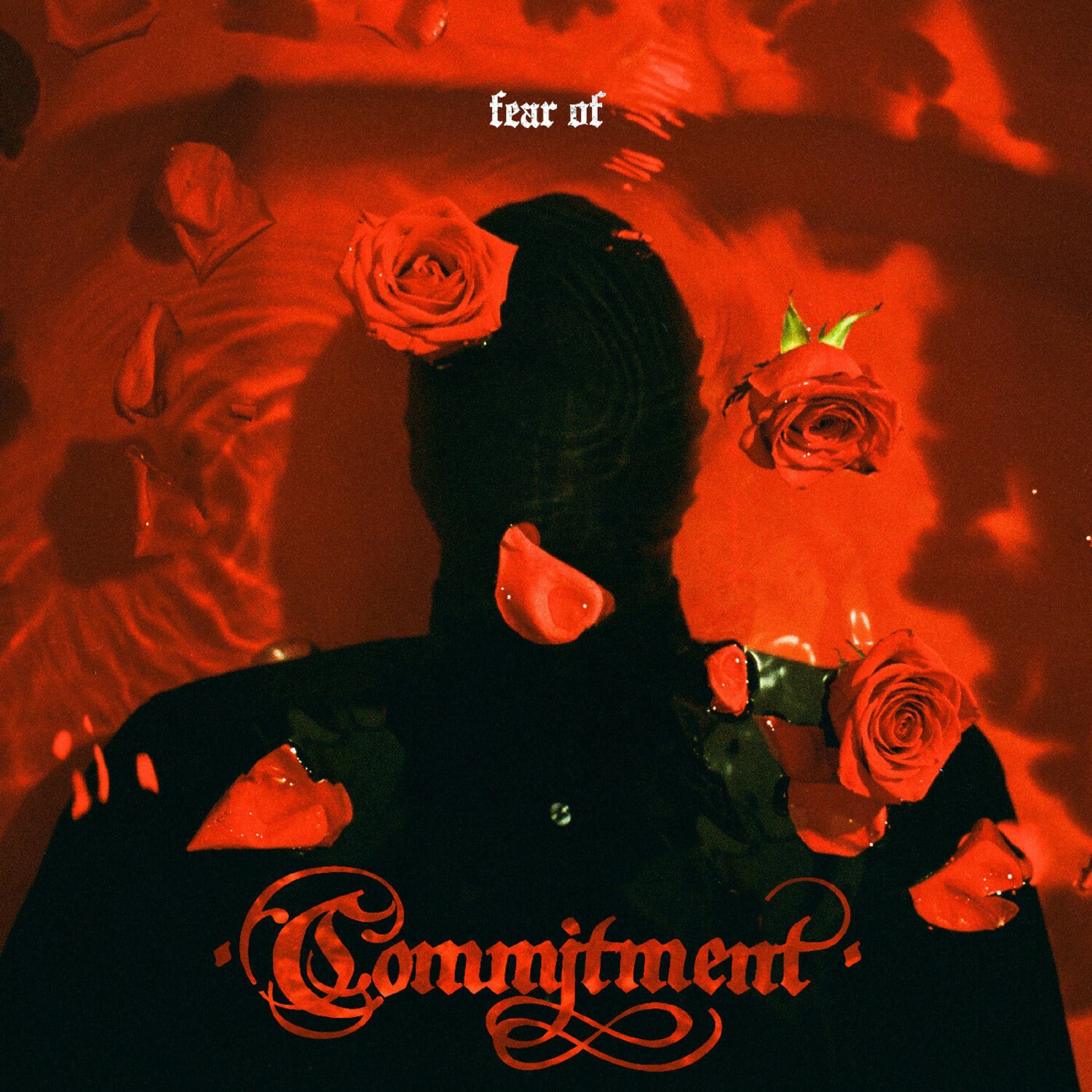 Commitment - Fear Of   - VINYL LP price history on PriceWatchPro