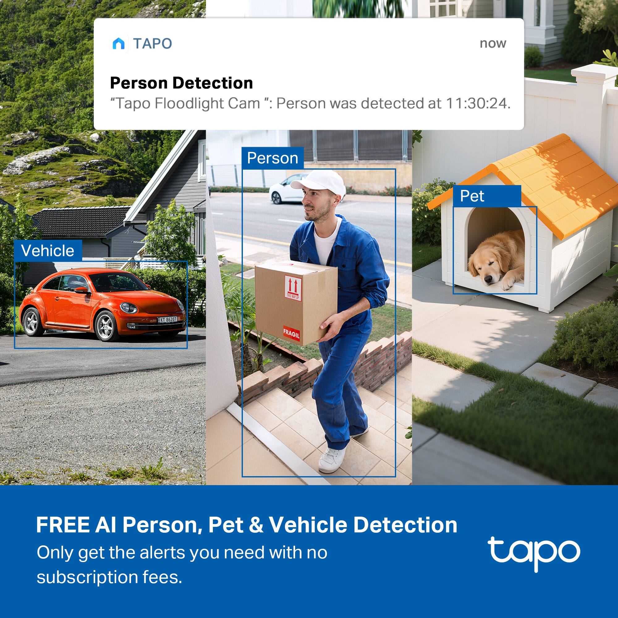 TAPO

Person Detection  
"Tapo Floodlight Cam": Person was detected at 11:30:24.

Vehicle

Person

Pet

FREE AI Person, Pet & Vehicle Detection  
Only get the alerts you need with no subscription fees.

tapo