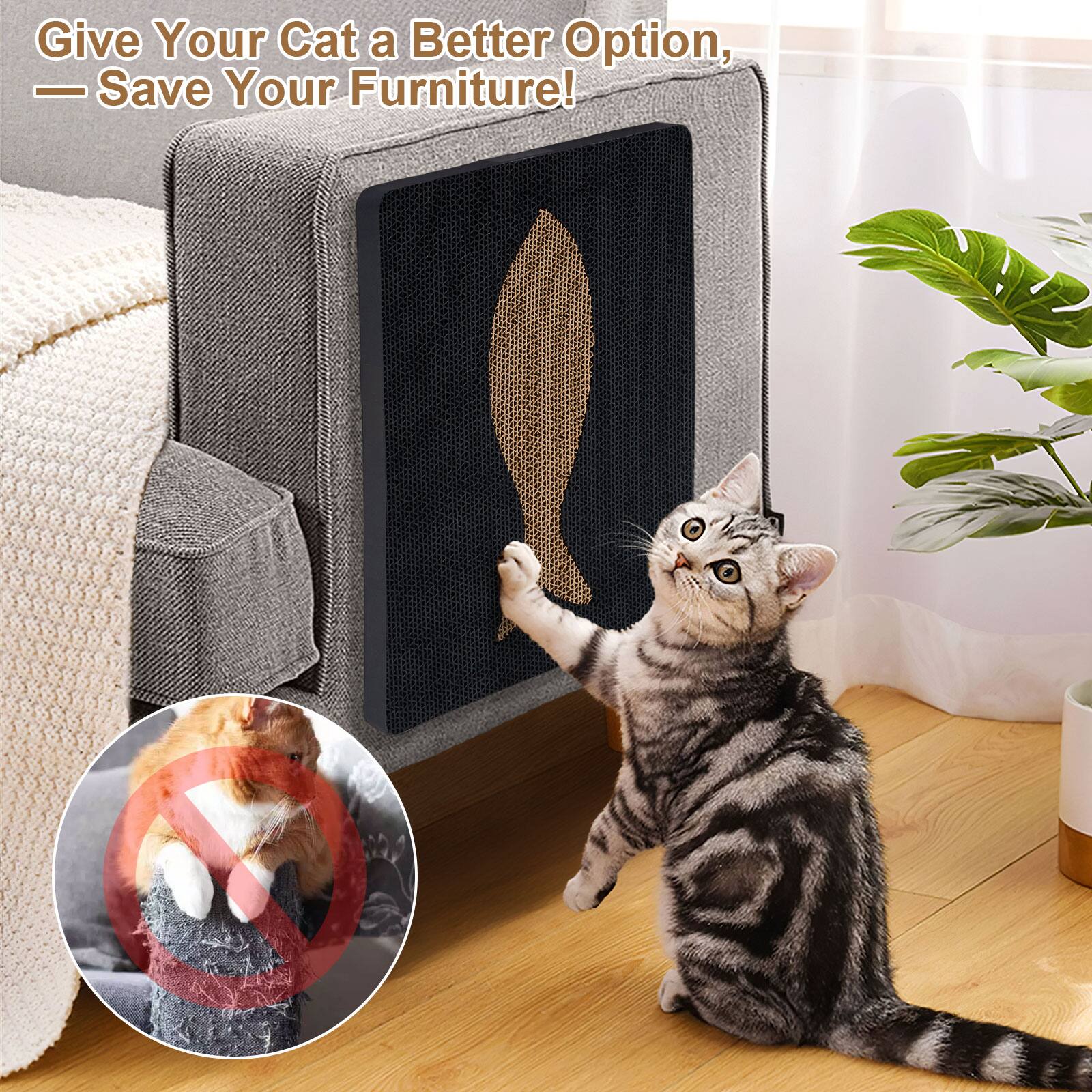 Give Your Cat a Better Option,  
— Save Your Furniture!