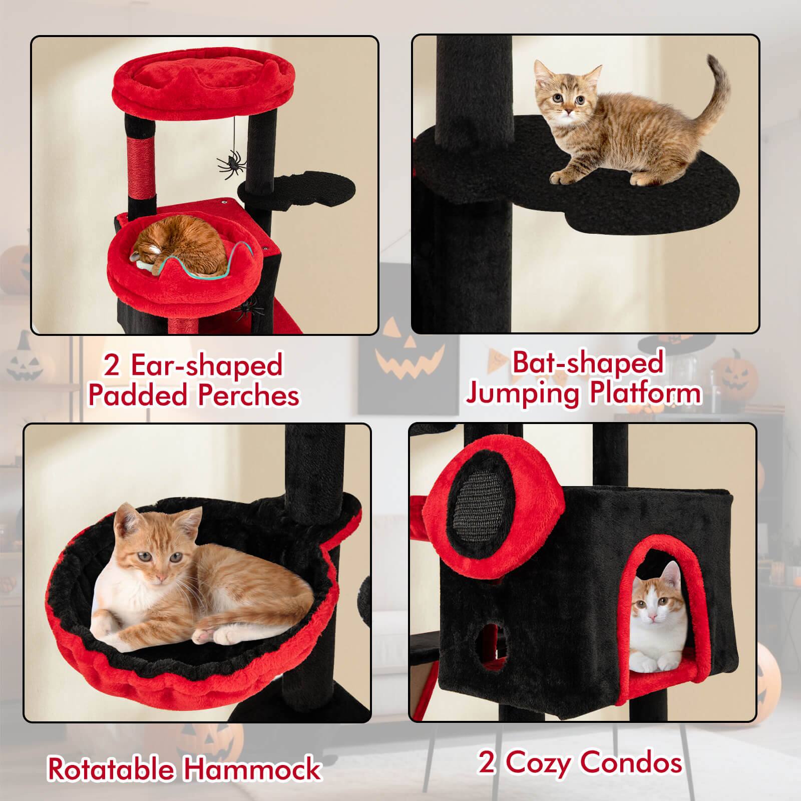2 Ear-shaped Padded Perches  
Bat-shaped Jumping Platform  
Rotatable Hammock  
2 Cozy Condos