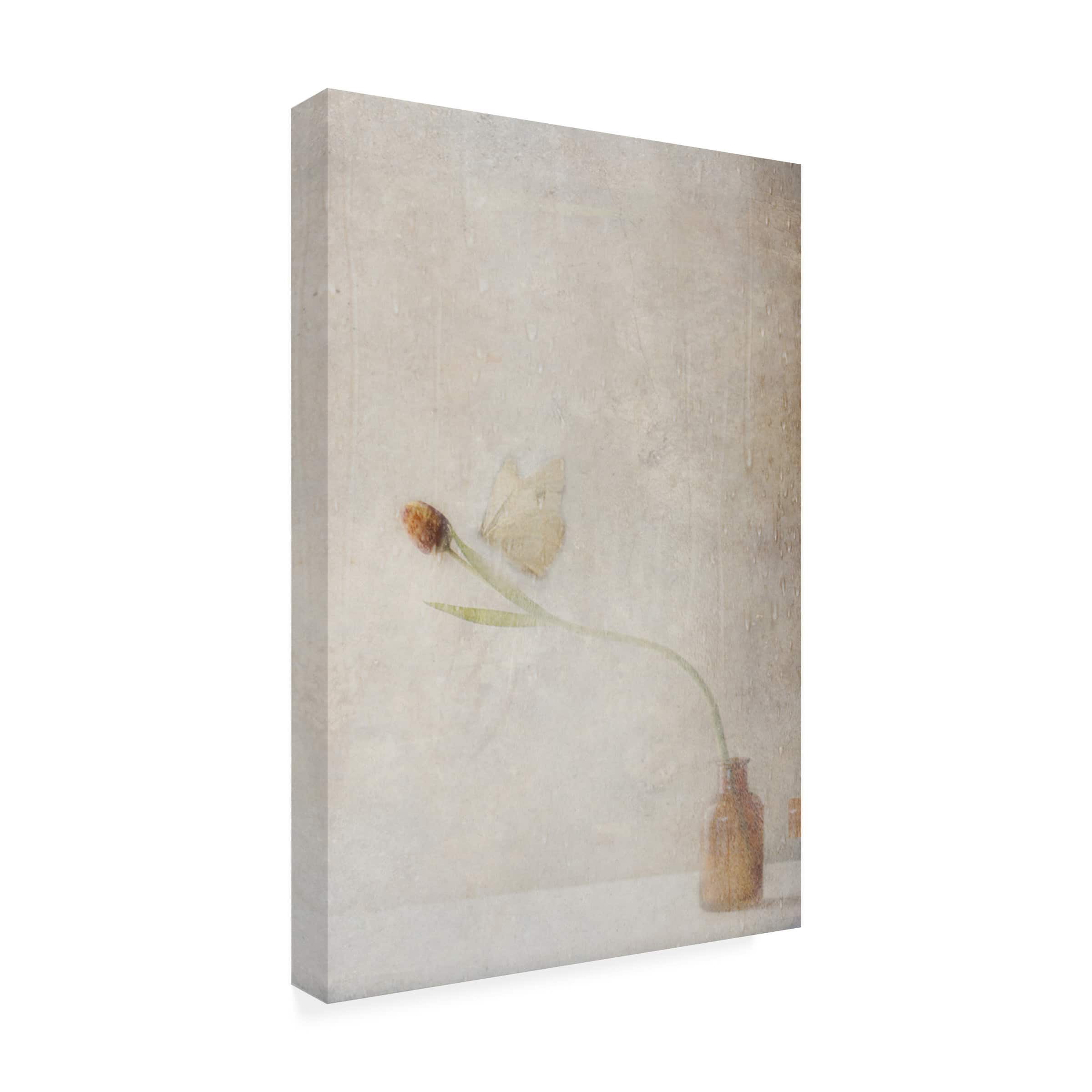 Trademark Fine Art - Delphine Devos Ephemeral Meeting Canvas Art - 16 x 24 Inches - 16x24 - Multicolor