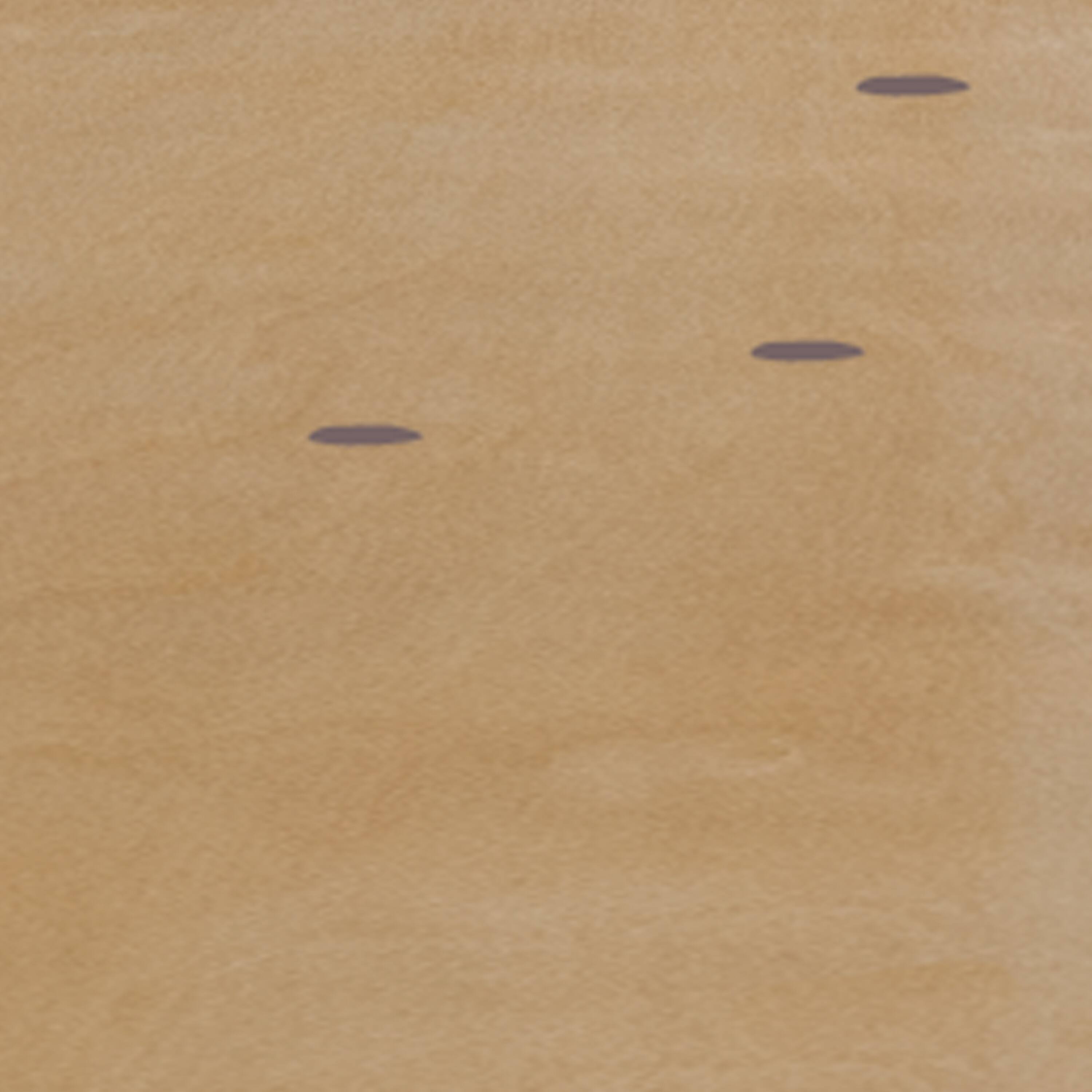 Alt View 10. Emma + Oliver - 4-Foot Round HEAVY DUTY Birchwood Folding Banquet Table with METAL Edges - Natural.