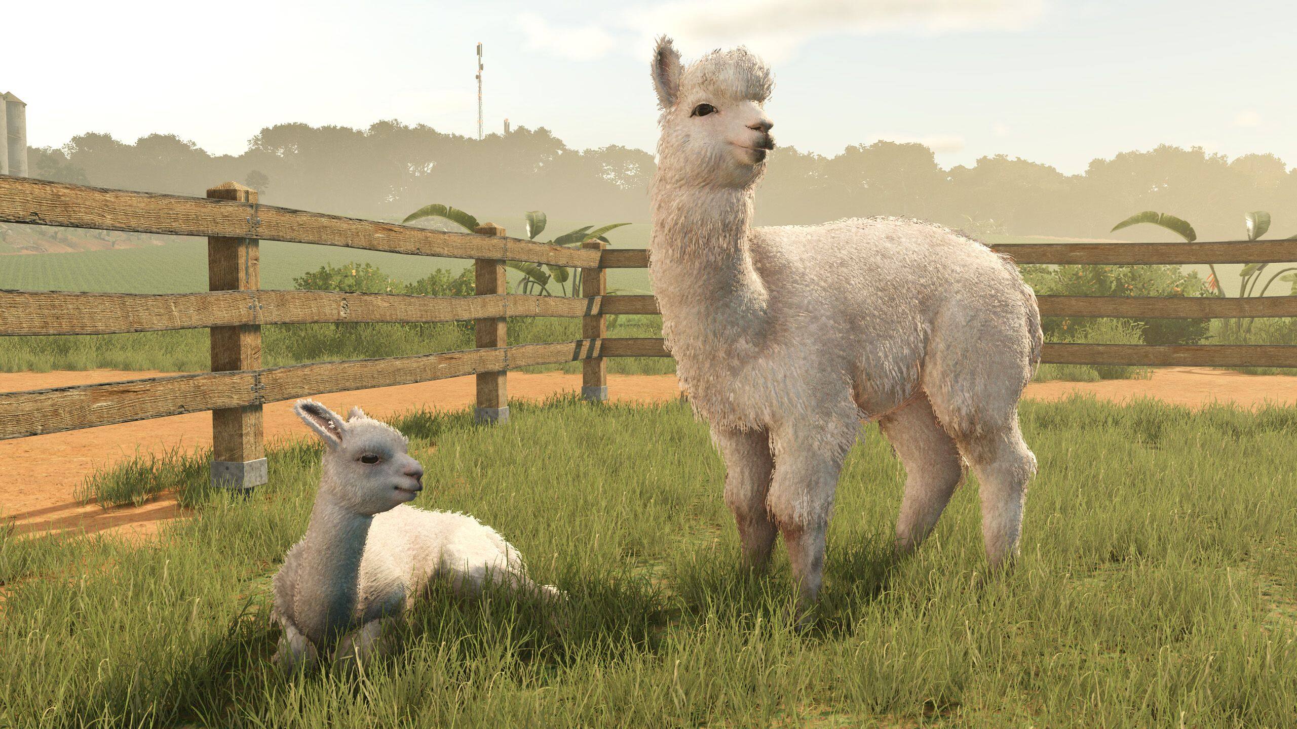 Alt View 5. Giants Software - Farming Simulator 25 Beans & Alpacas Edition for Xbox Series X.