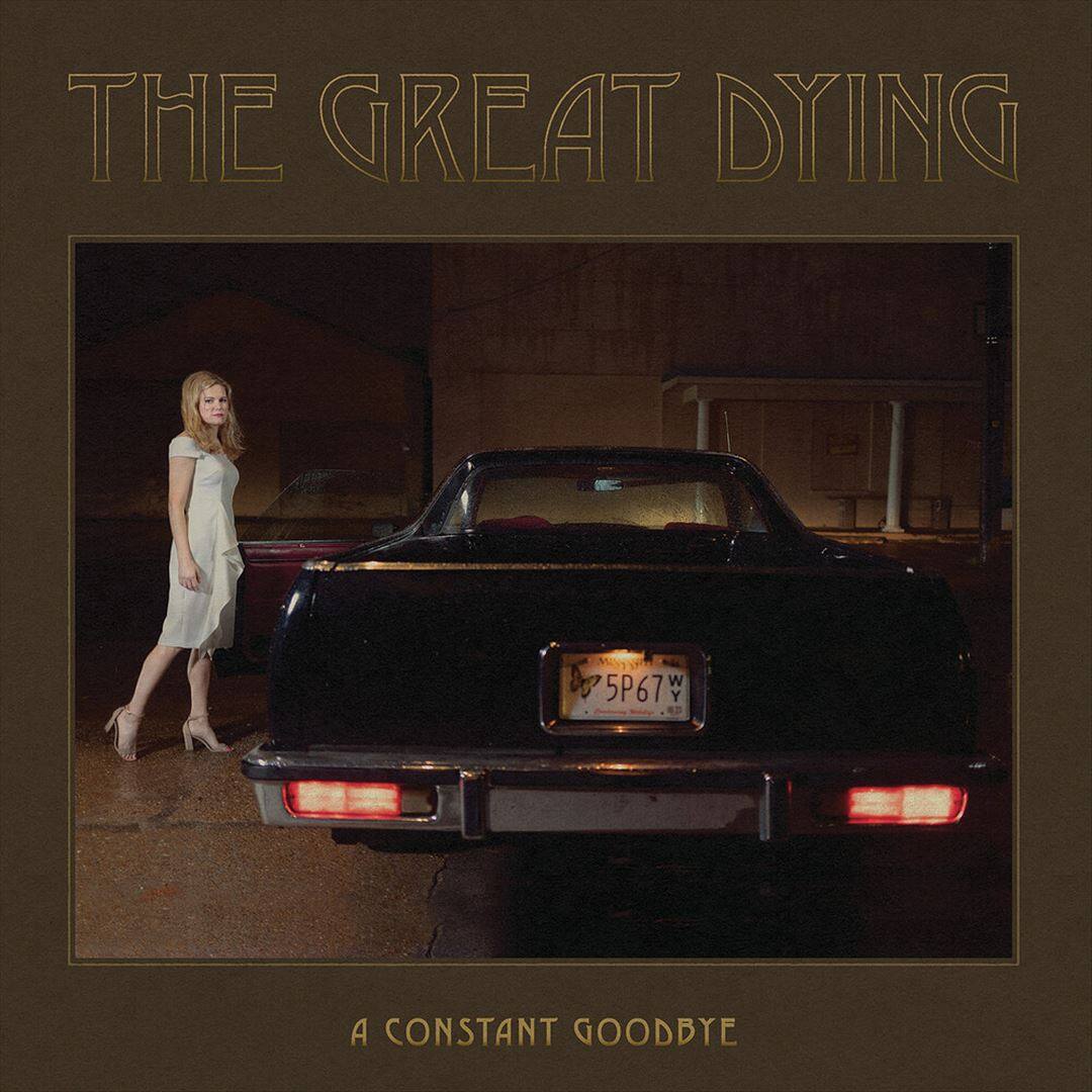 A Constant Goodbye [LP] [VINYL] price history on PriceWatchPro