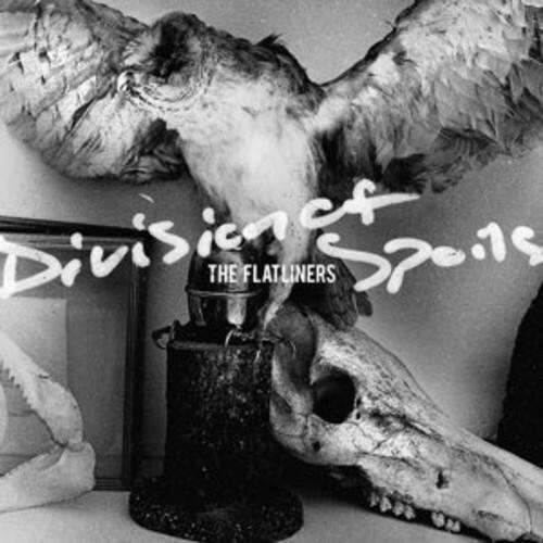 Division of Spoils  
THE FLATLINERS