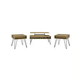 Coaster Co. of America - Fanning 3-piece Lift Top Coffee and End Table Set Golden Oak - Brown