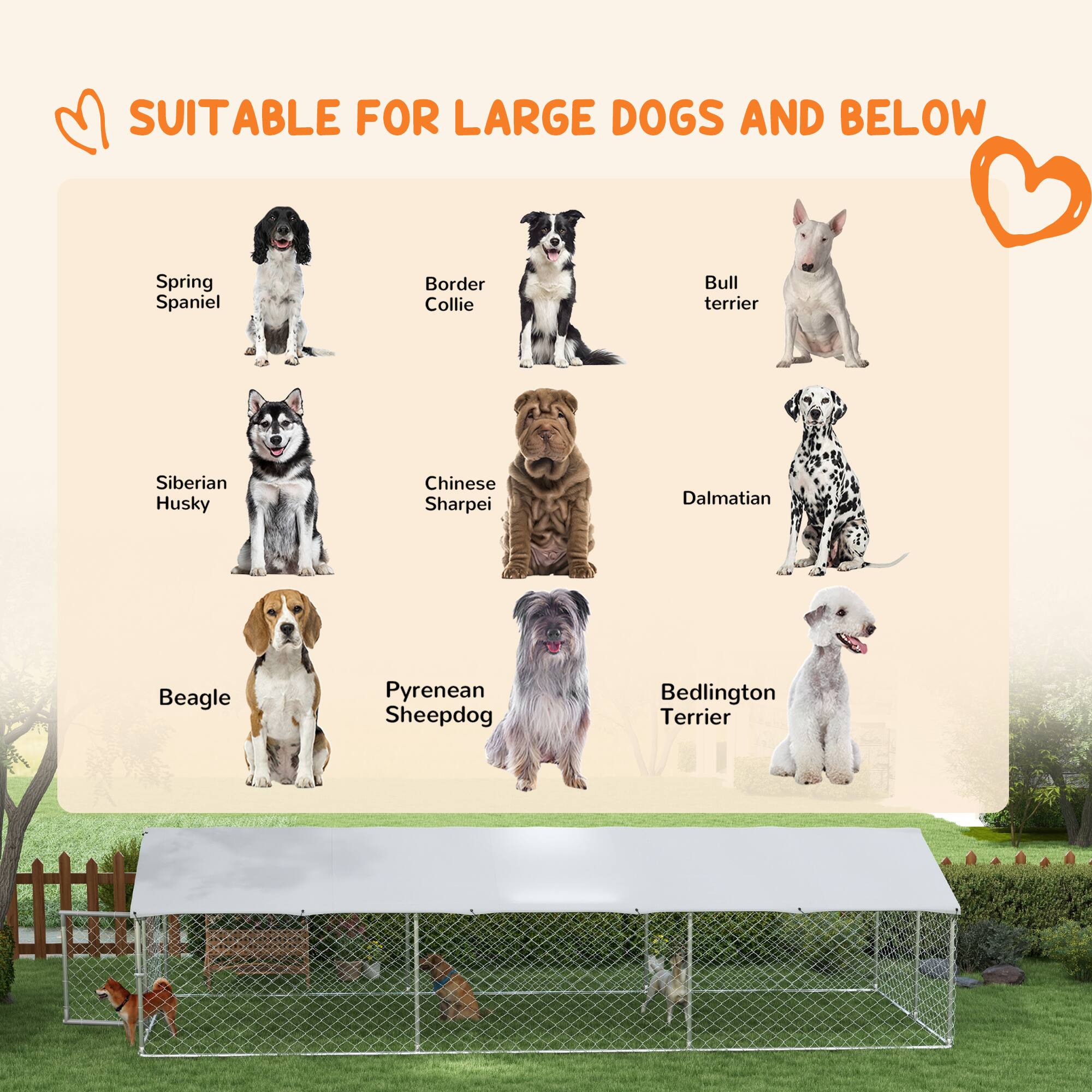 SUITABLE FOR LARGE DOGS AND BELOW

- Spring Spaniel
- Border Collie
- Bull Terrier
- Siberian Husky
- Chinese Sharpei
- Dalmatian
- Beagle
- Pyrenean Sheepdog
- Bedlington Terrier