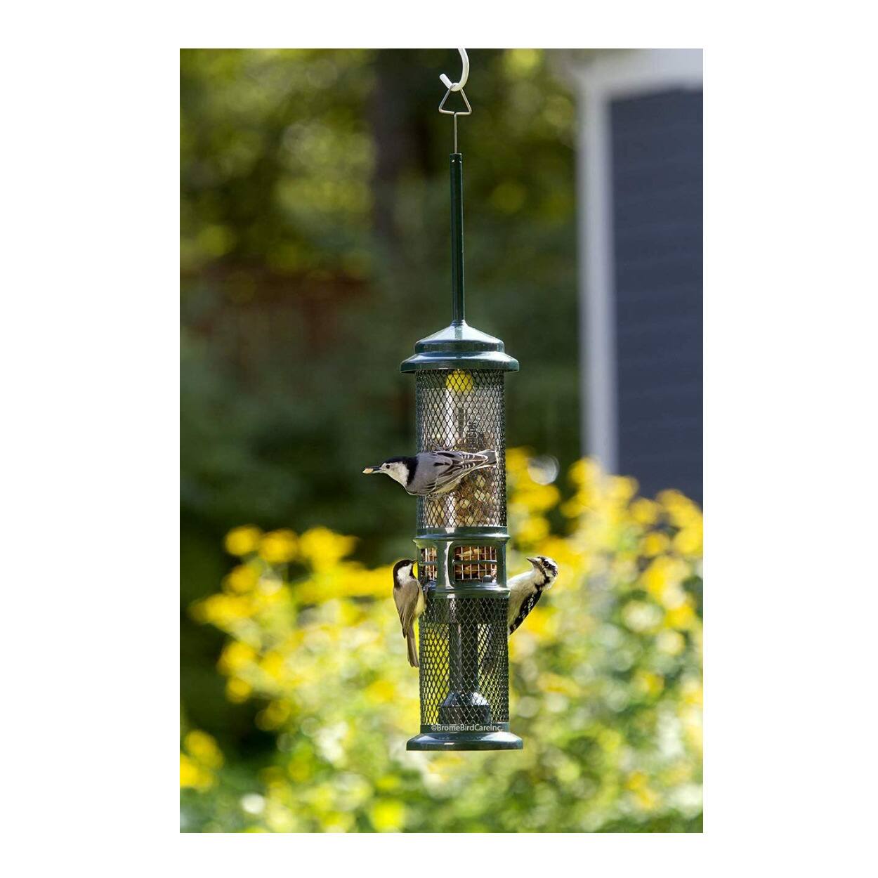 Left. Brome - Brome Squirrel Buster Nut Feeder Squirrel-Proof Bird Feeder (Two Meshes) - Grenn.