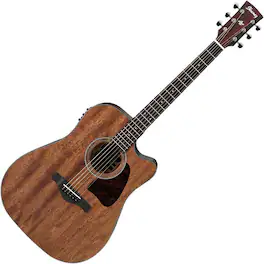 Ibanez - Artwood Series Full Sized Acoustic/Electric Guitar (Open Pore Natural)