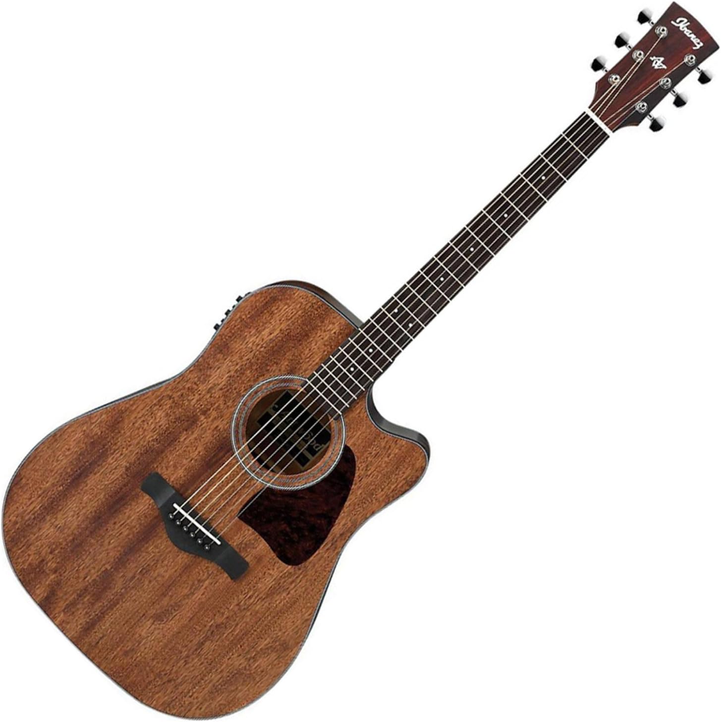 Ibanez - Artwood Series Full Sized Acoustic/Electric Guitar (Open Pore Natural)