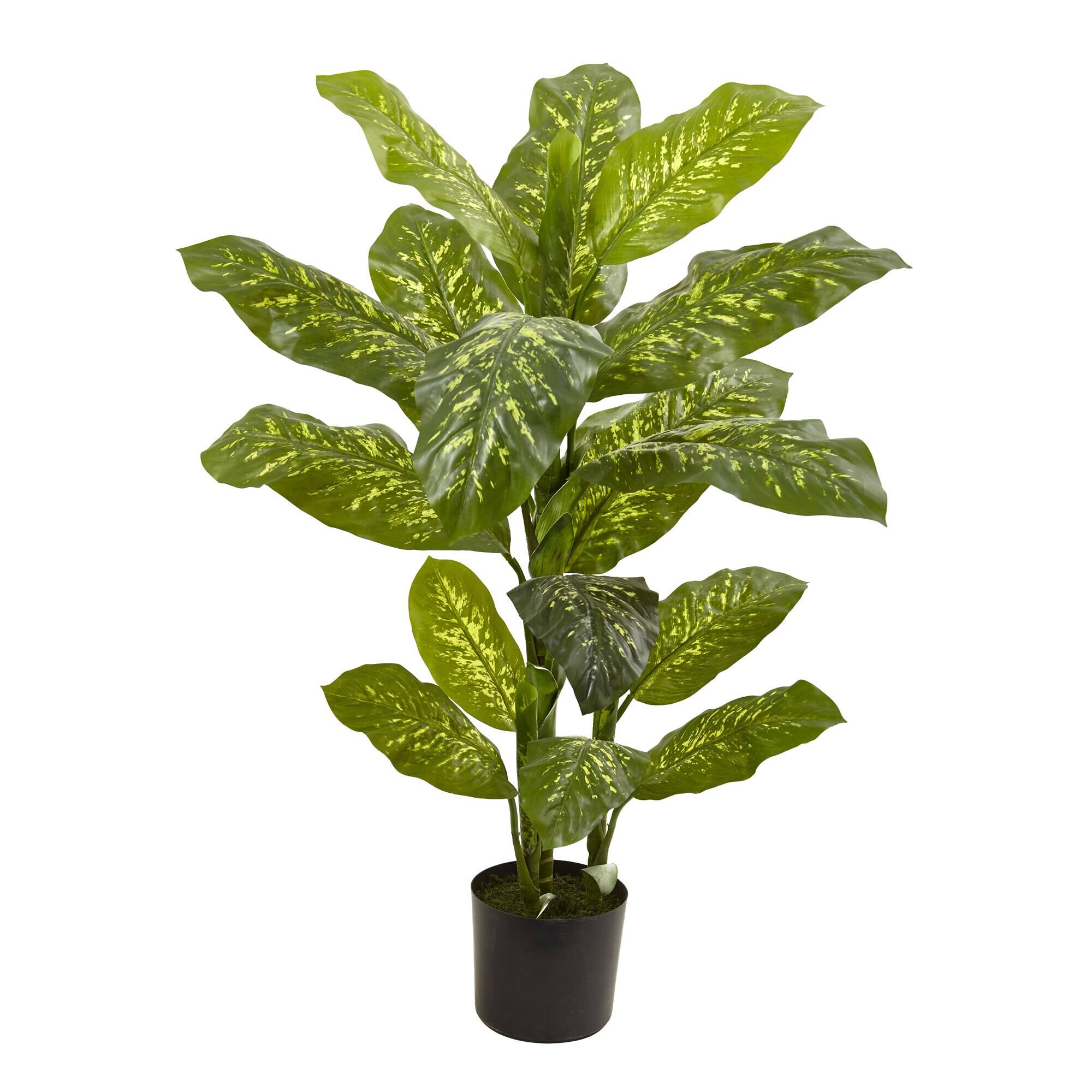 Front. BreeBe - 4' Dieffenbachia Plant (Real Touch) w/19 Lvs - Green.