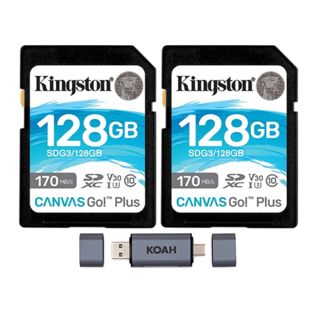 Kingston 128 GB SDG3/128GB
170 MB/s
V30
XC I
CANVAS Go! Plus
