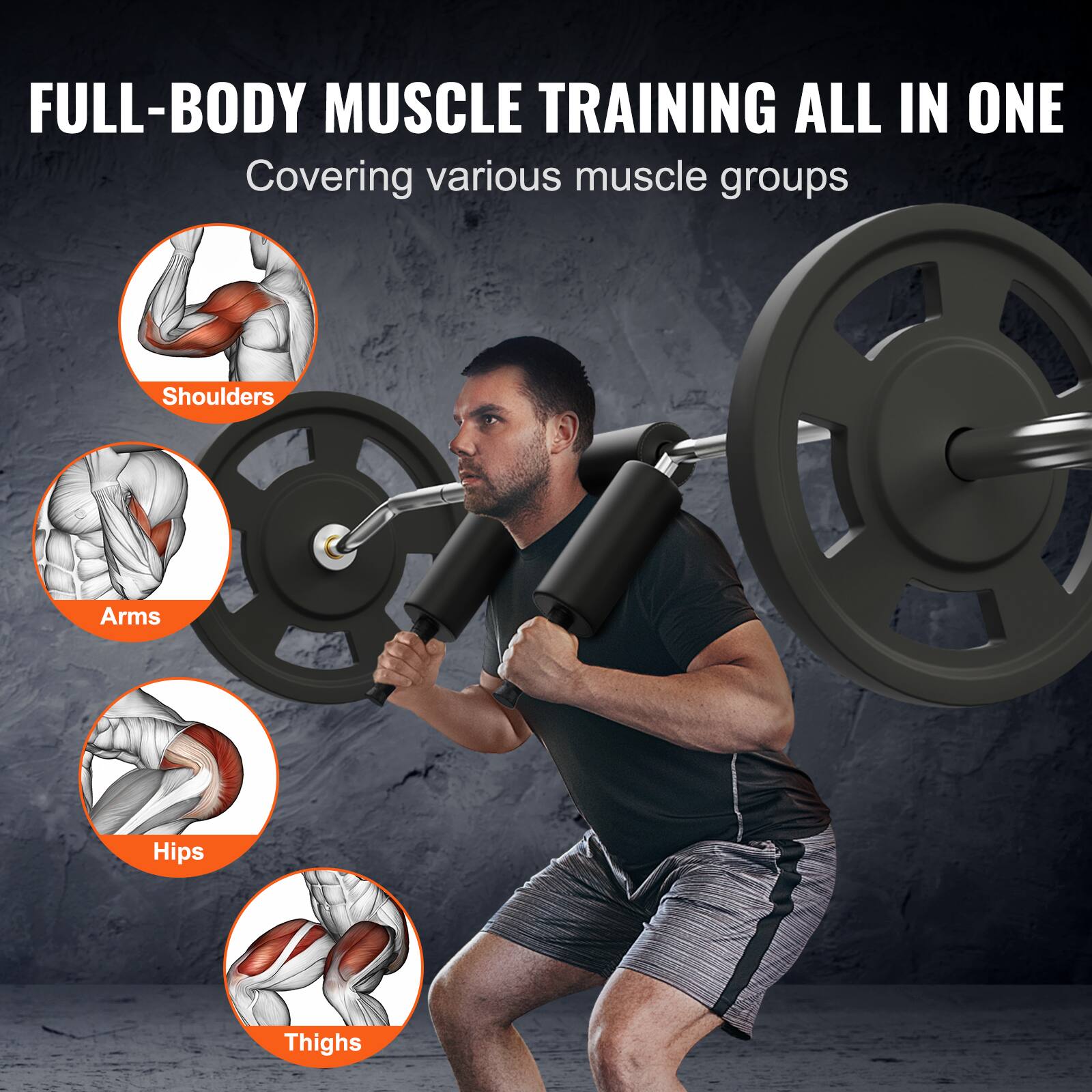 Full-body muscle training all in one

Shoulders
Arms
Hips
Thighs