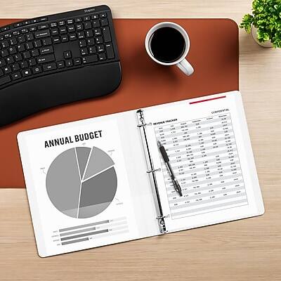 ANNUAL BUDGET