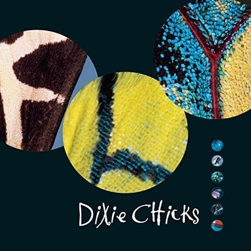 The Chicks - Fly  - VINYL LP