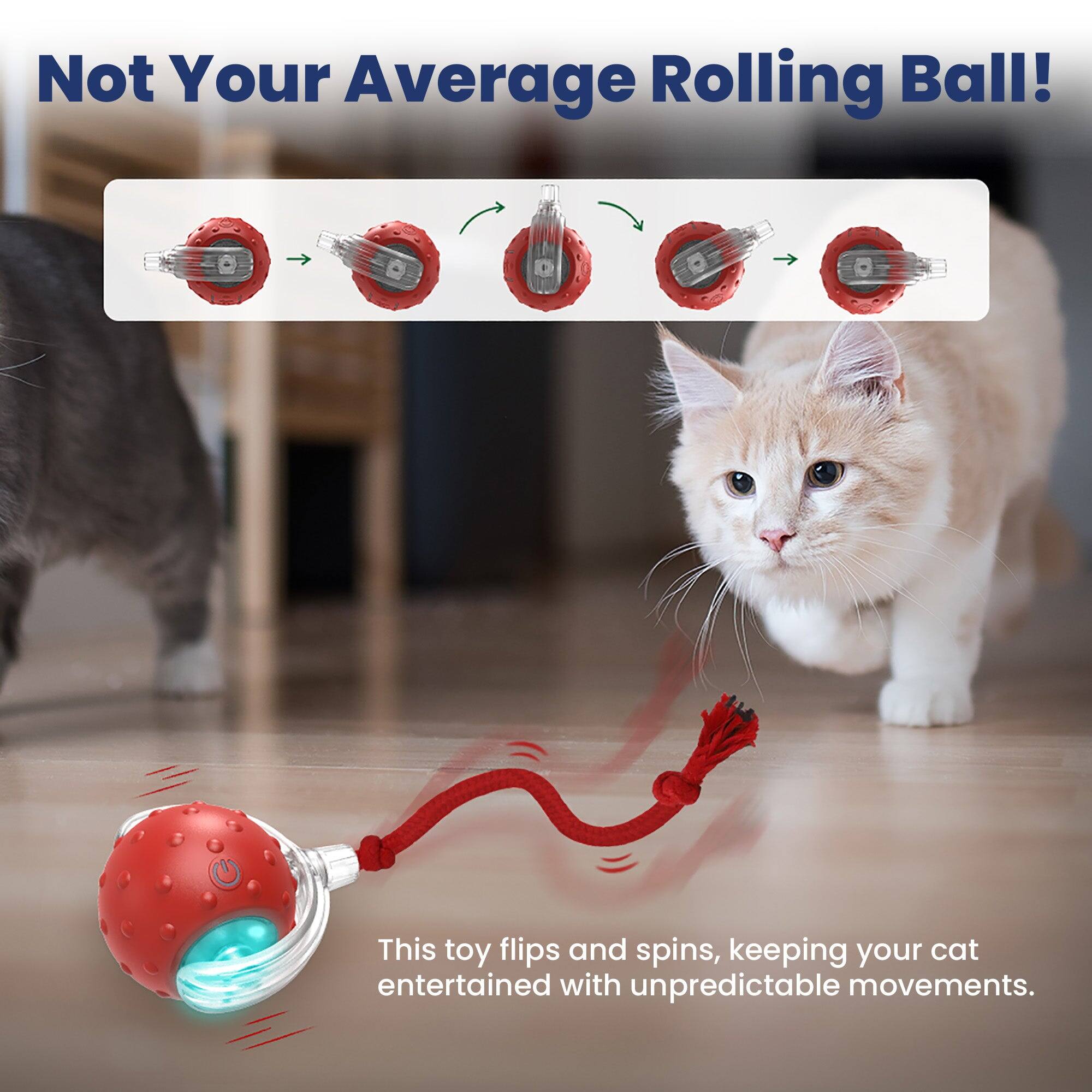 Not Your Average Rolling Ball!  
This toy flips and spins, keeping your cat entertained with unpredictable movements.