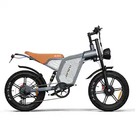 Forest'nSky - 20" Electric Bike, 1500W Dual Motor, 80-Mile Range, 48V Battery - Gray