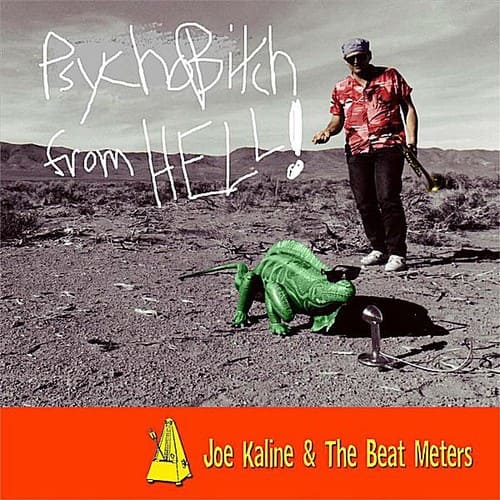 Joe Kaline & the Beat Meters - Psycho Bitch from Hell: X-Rated Sophomoric & Eupho   - COMPACT DISCS [CD] price history on PriceWatchPro