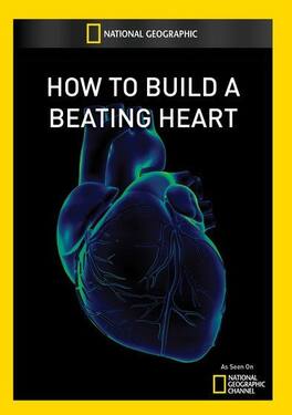 How To Build A Beating Heart - DVD