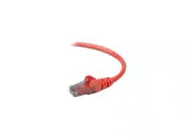 Belkin - A3L980-01-RED-S 1 ft. Cat 6 Red Snagless Networking Cable