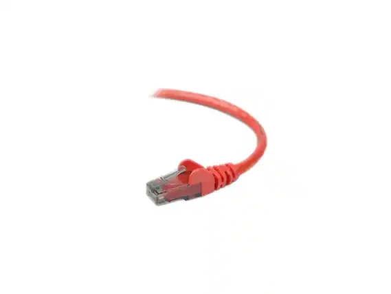 Front. Belkin - Belkin A3L980-01-RED-S 1 ft. Cat 6 Red Snagless Networking Cable.