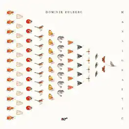 Dominik Eulberg - Mannigfaltig - VINYL LP