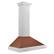 Angle. ZLINE - ZLINE 36 in. Convertible Satin Steel Wall Mount Range Hood with Copper Shell and Steel Handle - Stainless Steel.