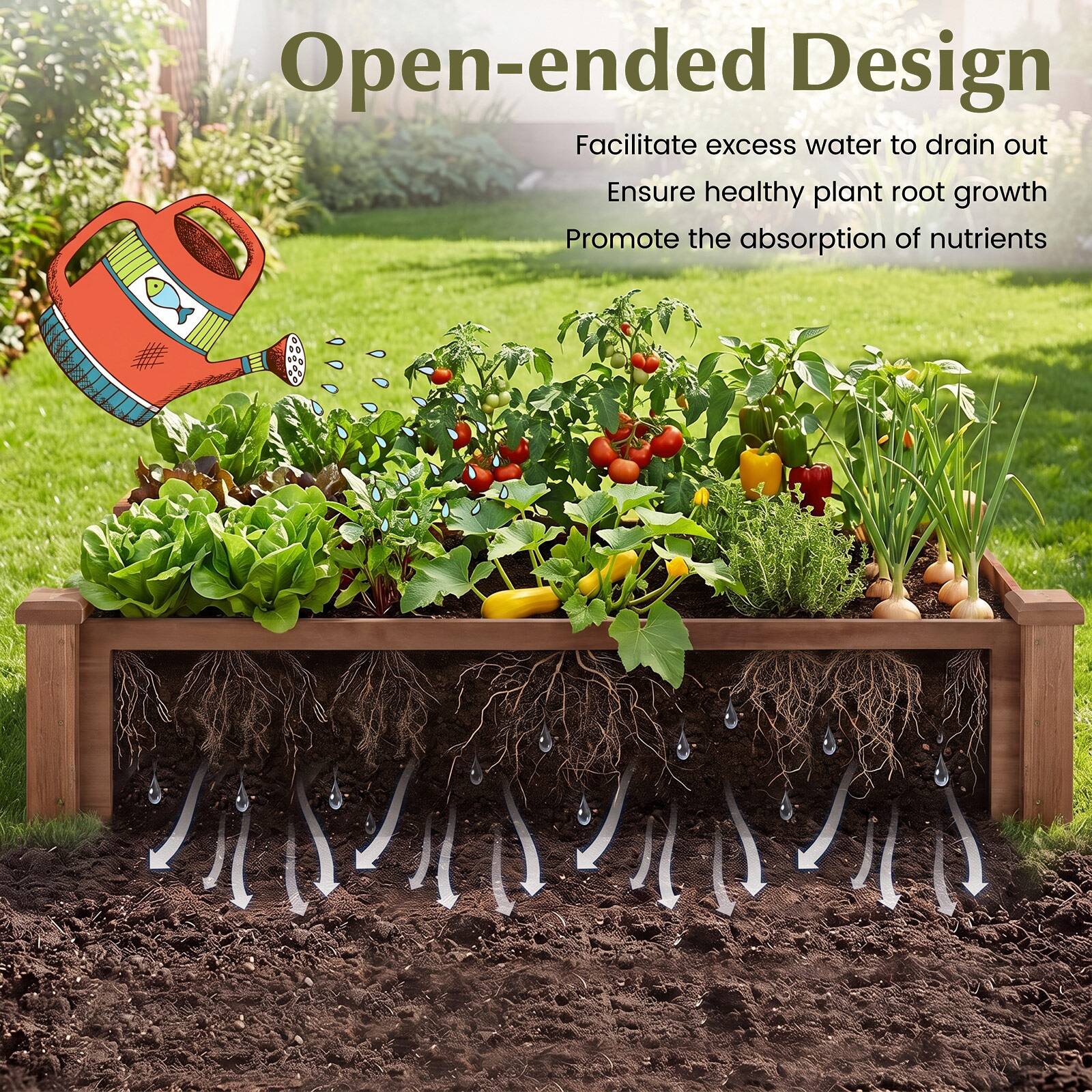 Open-ended Design  
Facilitate excess water to drain out  
Ensure healthy plant root growth  
Promote the absorption of nutrients