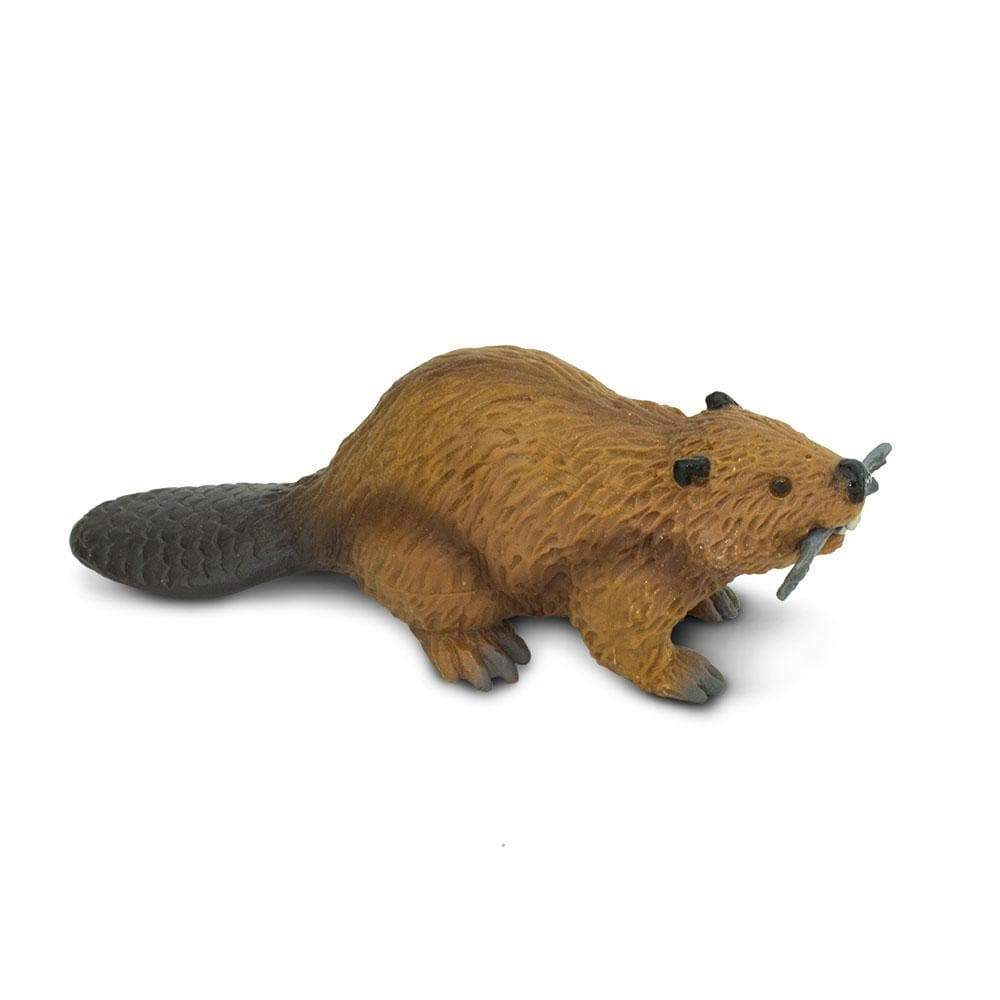 Safari Ltd. Beaver Toy Figurine - Best Buy