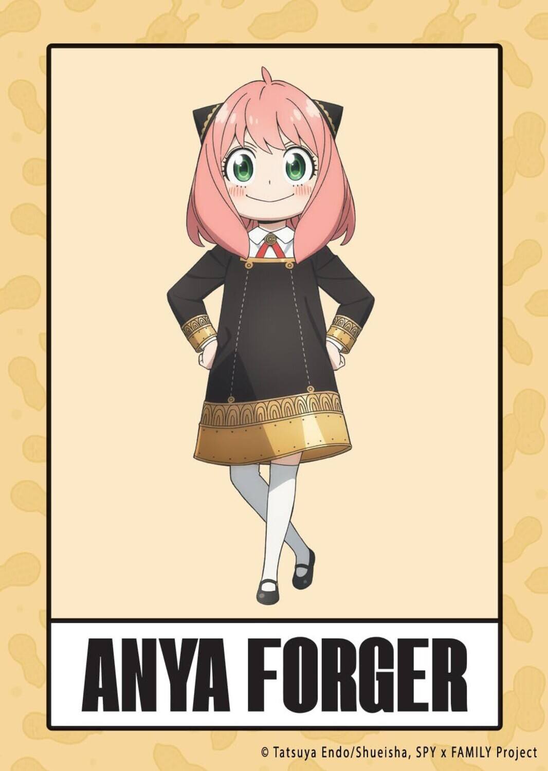 ANYA FORGER  
Tatsuya Endo/Shueisha, SPY x FAMILY Project