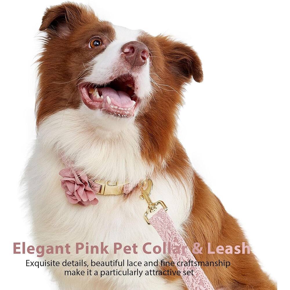 Elegant Pink Pet Collar & Leash

Exquisite details, beautiful lace and fine craftsmanship make it a particularly attractive set.