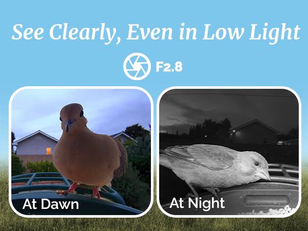 See Clearly, Even in Low Light  
F2.8  
At Dawn  
At Night