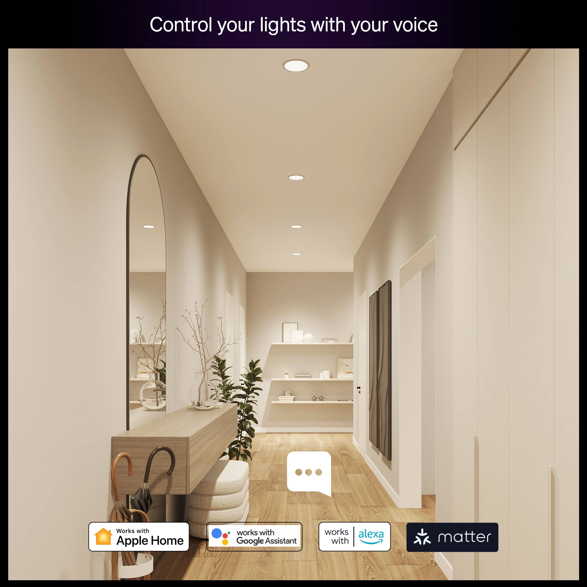 Control your lights with your voice

Works with Apple Home  
Works with Google Assistant  
Works with Alexa  
Works with Matter