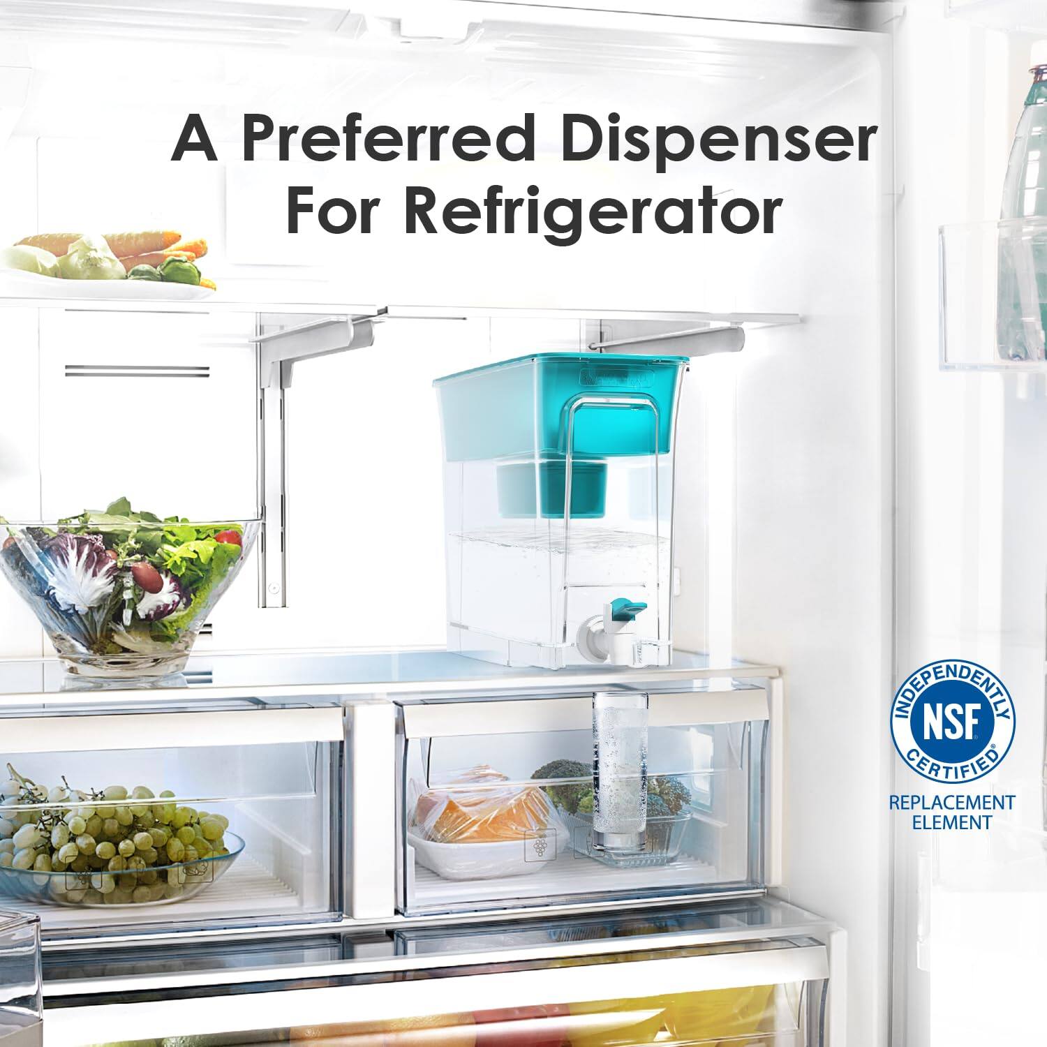 A Preferred Dispenser For Refrigerator  
NSF CERTIFIED REPLACEMENT ELEMENT